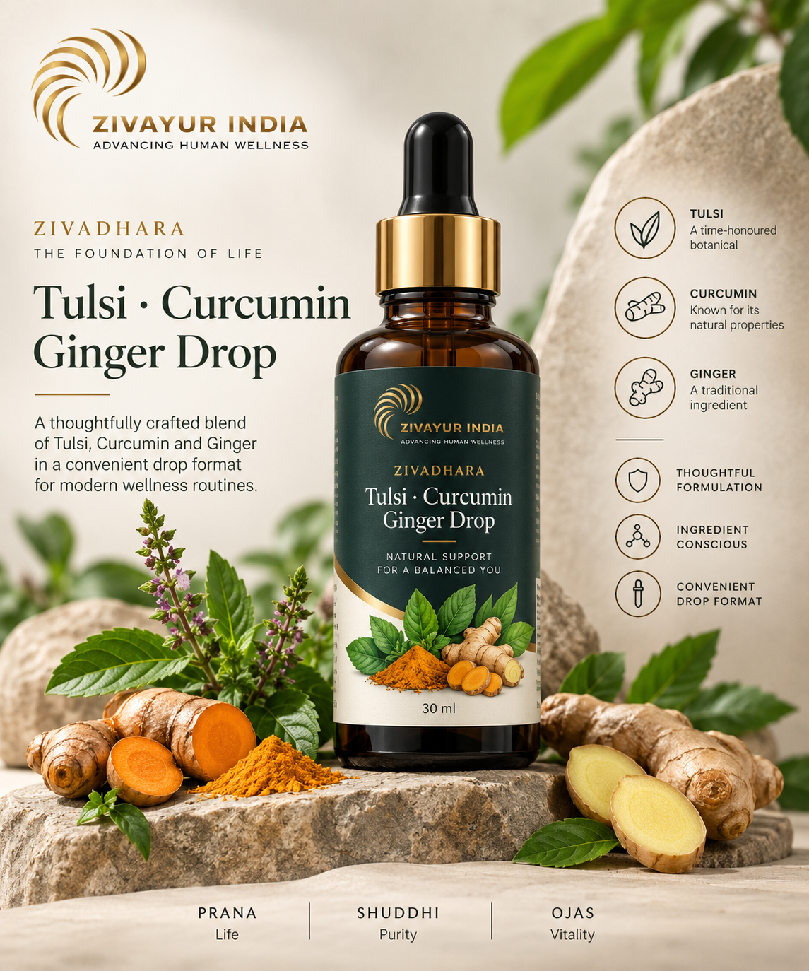 Tulsi Curcumin Ginger Drop