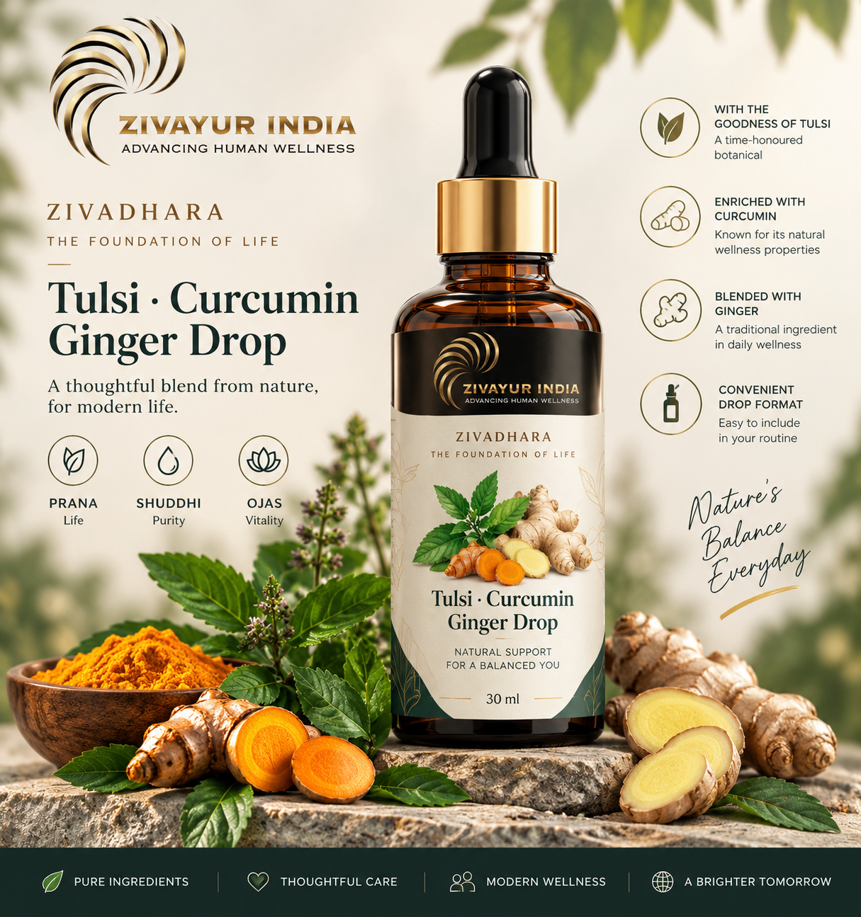 Zivadhara Tulsi Curcumin Ginger Drop